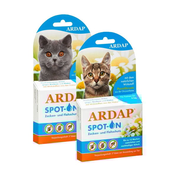 Der Ardap SpotOn schützt Katzen sicher vor Zecken und Flöhen.