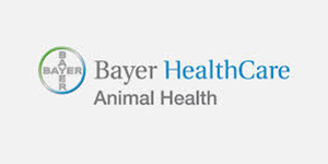 Bayer