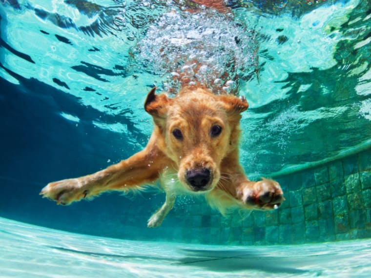 Erste-Hilfe bei Überhitzung