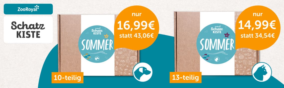 Die Sommer-Schatzkiste
