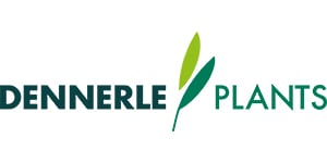 Logo Dennerle Plants