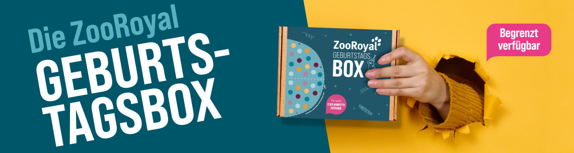 ZooRoyal Schatzkiste