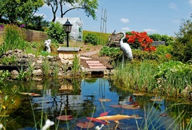 Teich-Wasserpflege