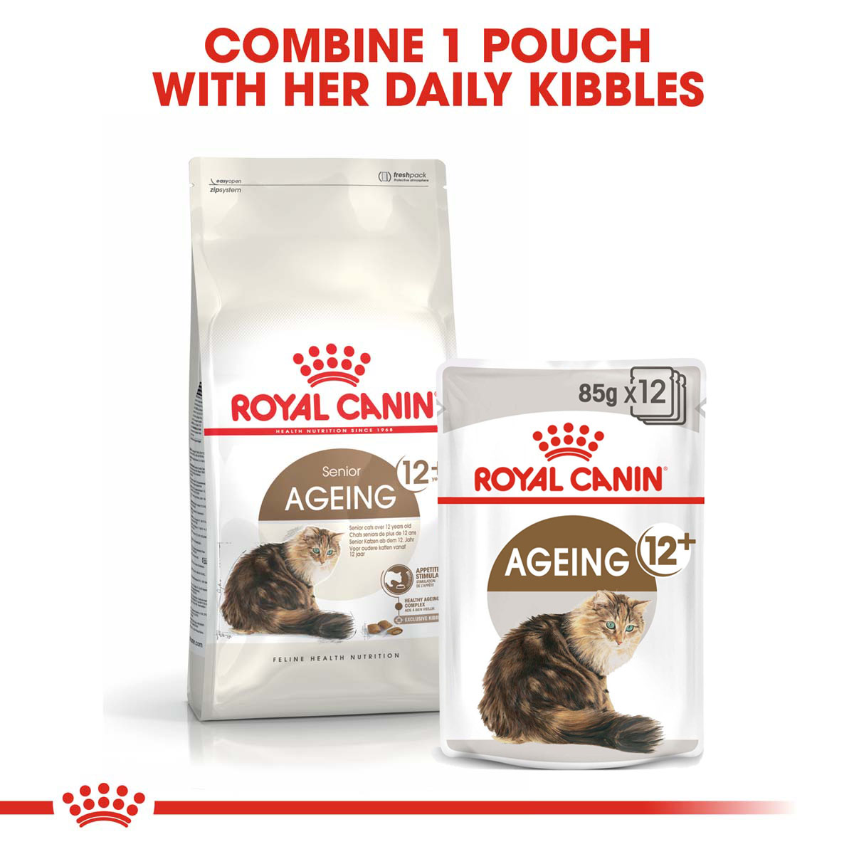 Levně ROYAL CANIN AGEING 12+ granule 4 kg + kapsička 12× 85 g