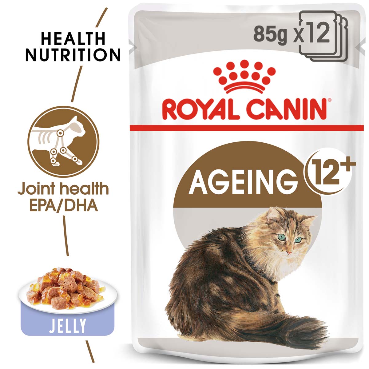 Levně ROYAL CANIN AGEING 12+ pro kočky 12 × 85 g