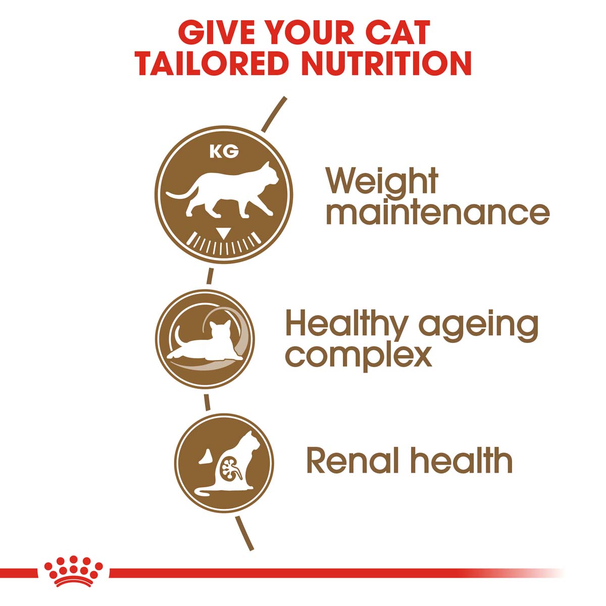 ROYAL CANIN AGEING 12 Sterilised Trockenfutter fur altere kastrierte Katzen