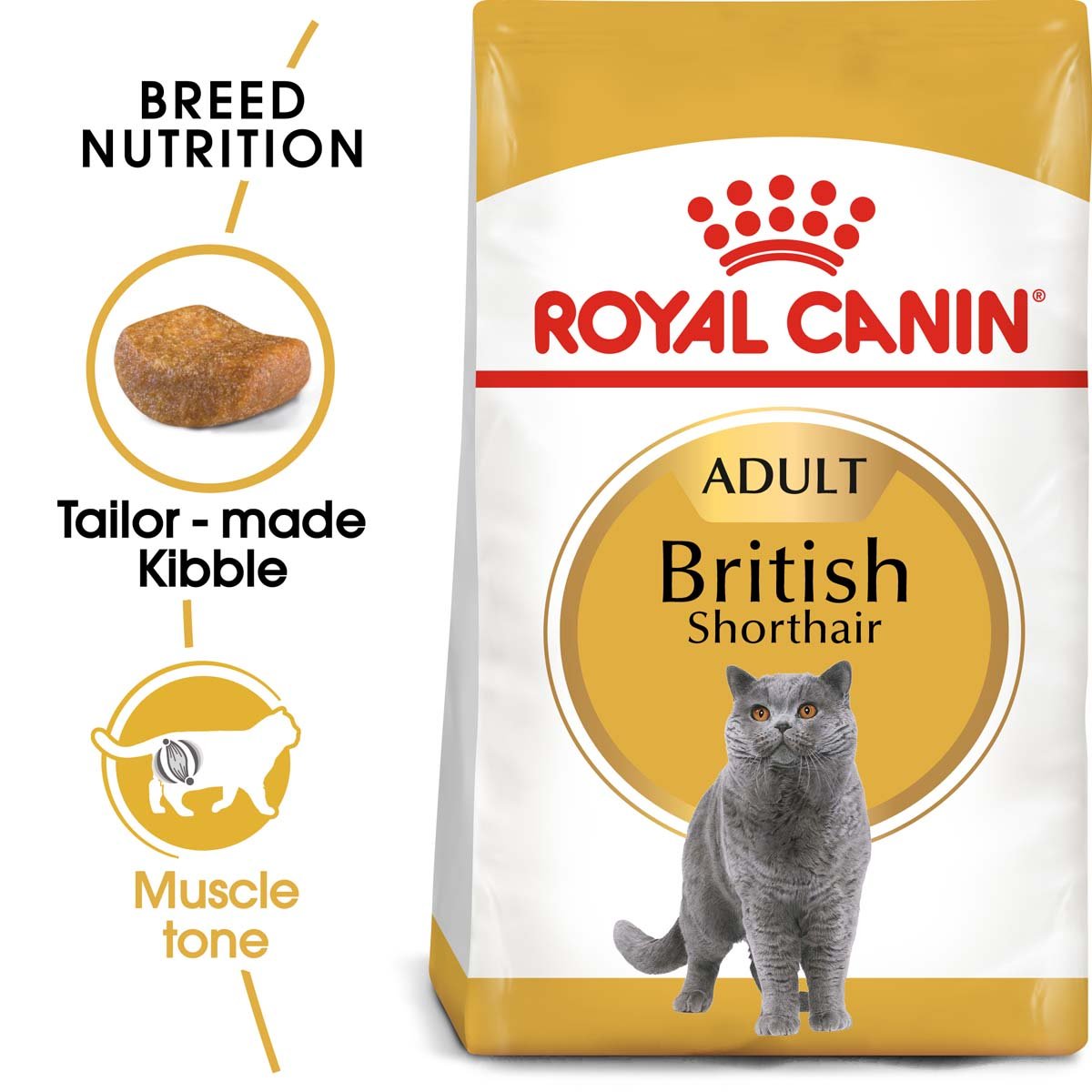 ROYAL CANIN British Shorthair Katzenfutter trocken für Britisch Kurzhaar 2kg