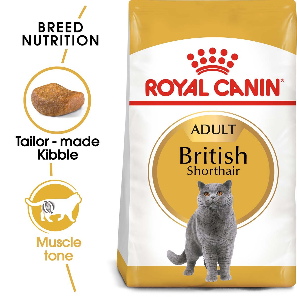 ROYAL CANIN British Shorthair granule pro britské krátkosrsté kočky 10 kg