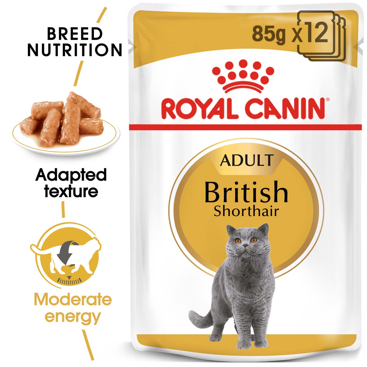 ROYAL CANIN British Shorthair Adult pro britské krátkosrsté kočky 48 × 85 g
