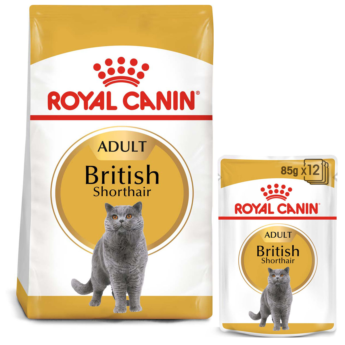 ROYAL CANIN ADULT British Shorthair 2kg + Nassfutter in Soße 12x85g