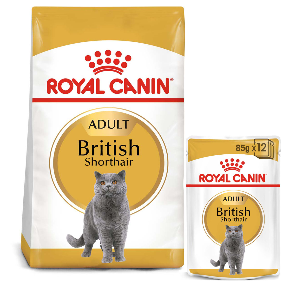 Levně ROYAL CANIN ADULT British Shorthair 10 kg + kapsičky v omáčce 12× 85 g