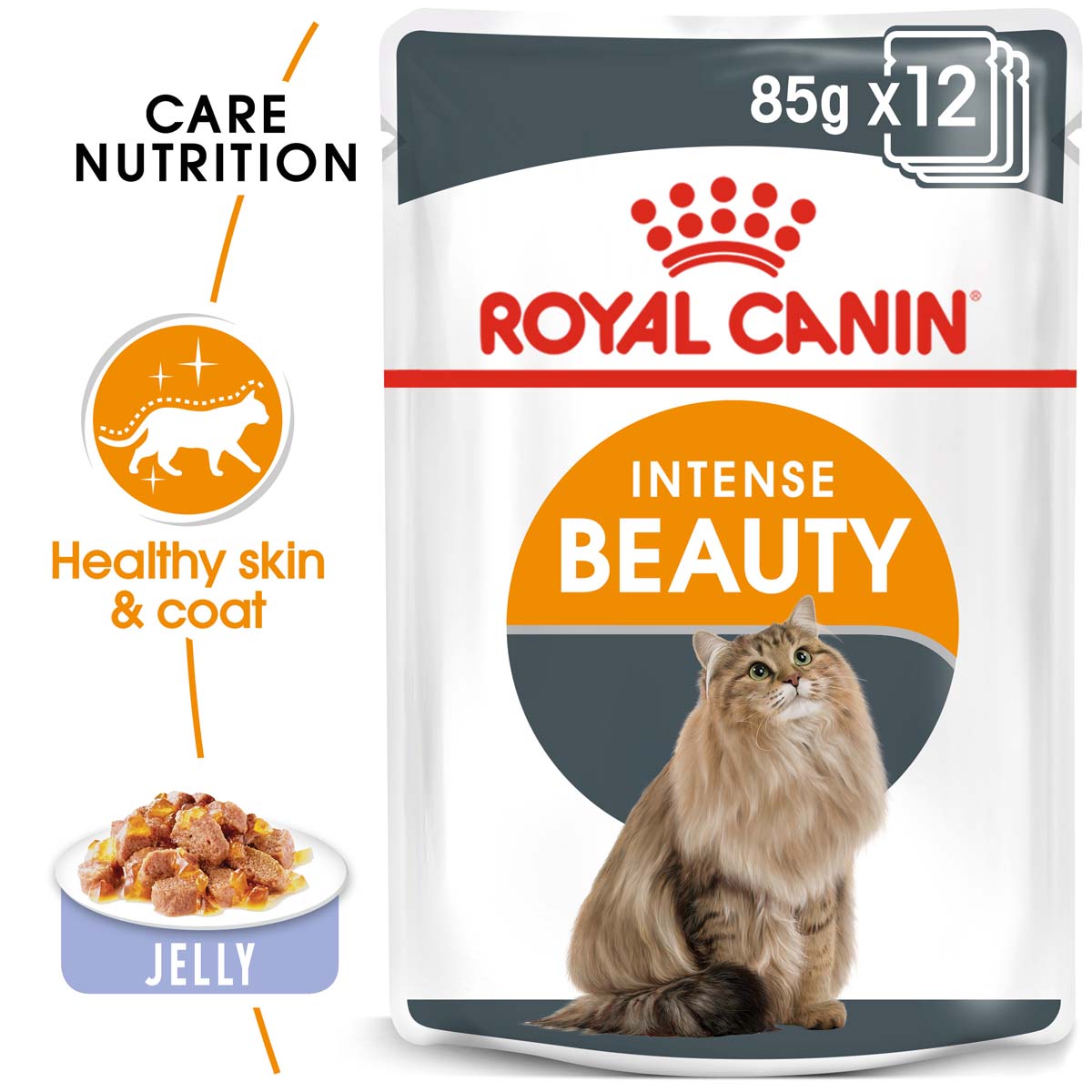 ROYAL CANIN Intense Beauty Katzenfutter nass in Gelee für schönes Fell 12x85g