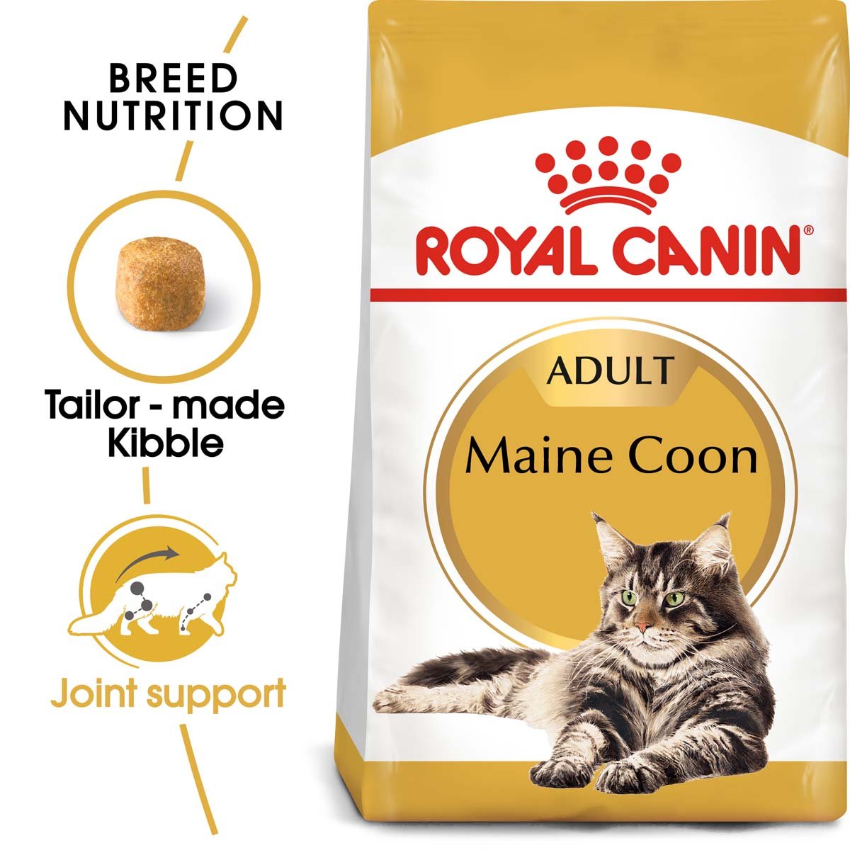 ROYAL CANIN Maine Coon Adult Katzenfutter trocken 2kg