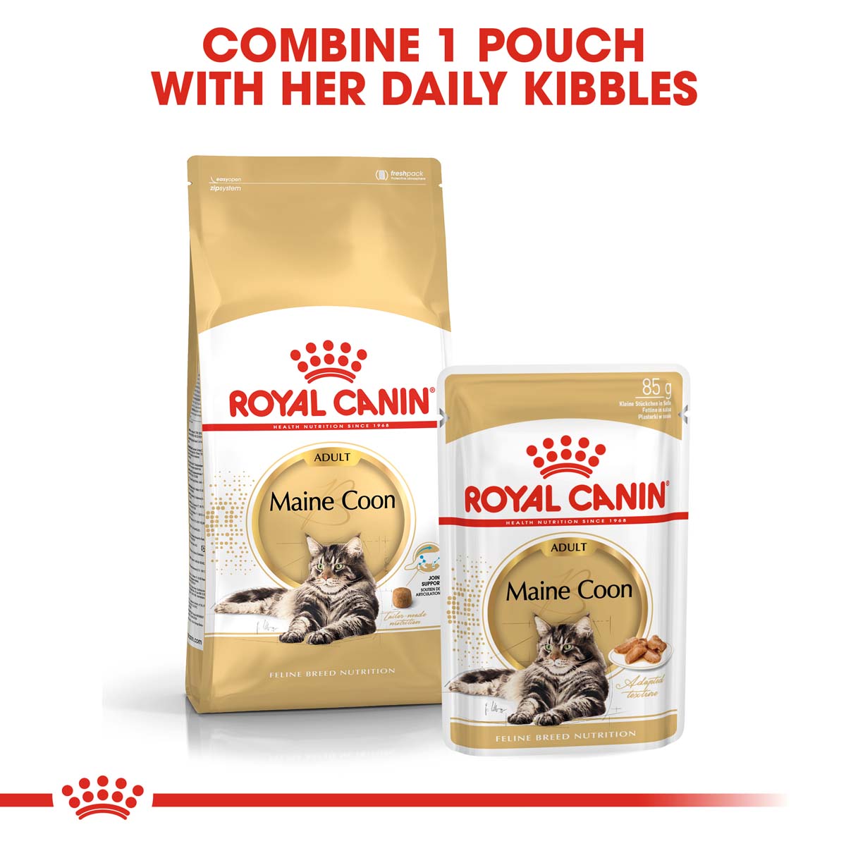 ROYAL CANIN ADULT Maine Coon 10kg + Nassfutter in Soße 48x85g ROYAL CANIN ADULT Maine Coon 10kg + Nassfutter in Soße 48x85g