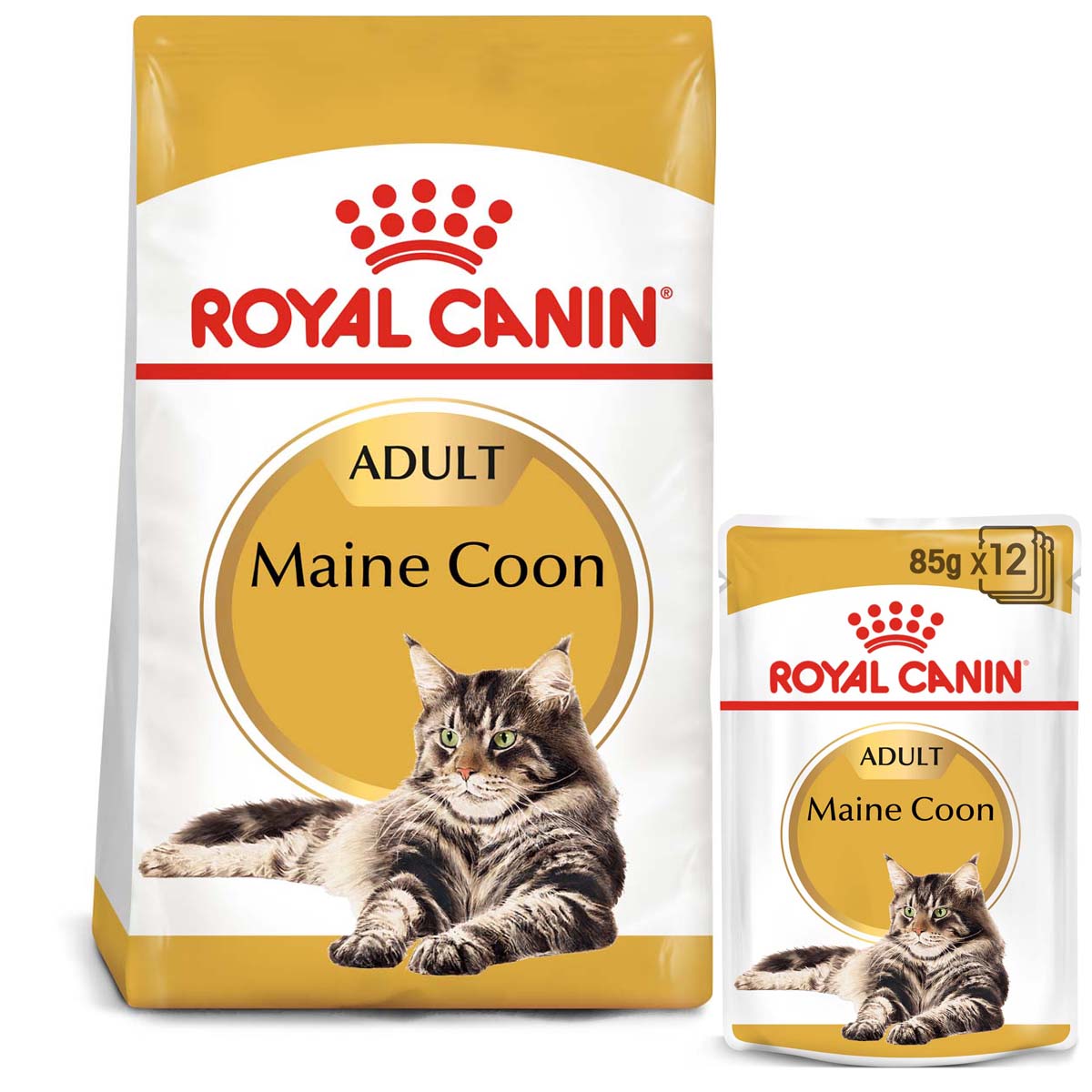 Levně ROYAL CANIN ADULT Maine Coon 2 kg + kapsičky v omáčce 12× 85 g