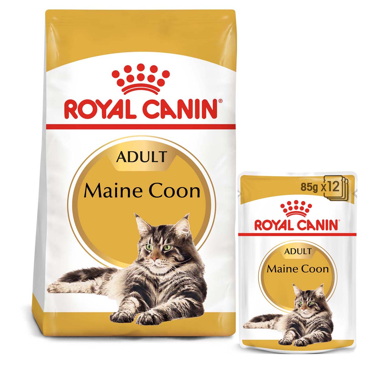 Levně ROYAL CANIN ADULT Maine Coon 10 kg + kapsičky v omáčce 48× 85 g