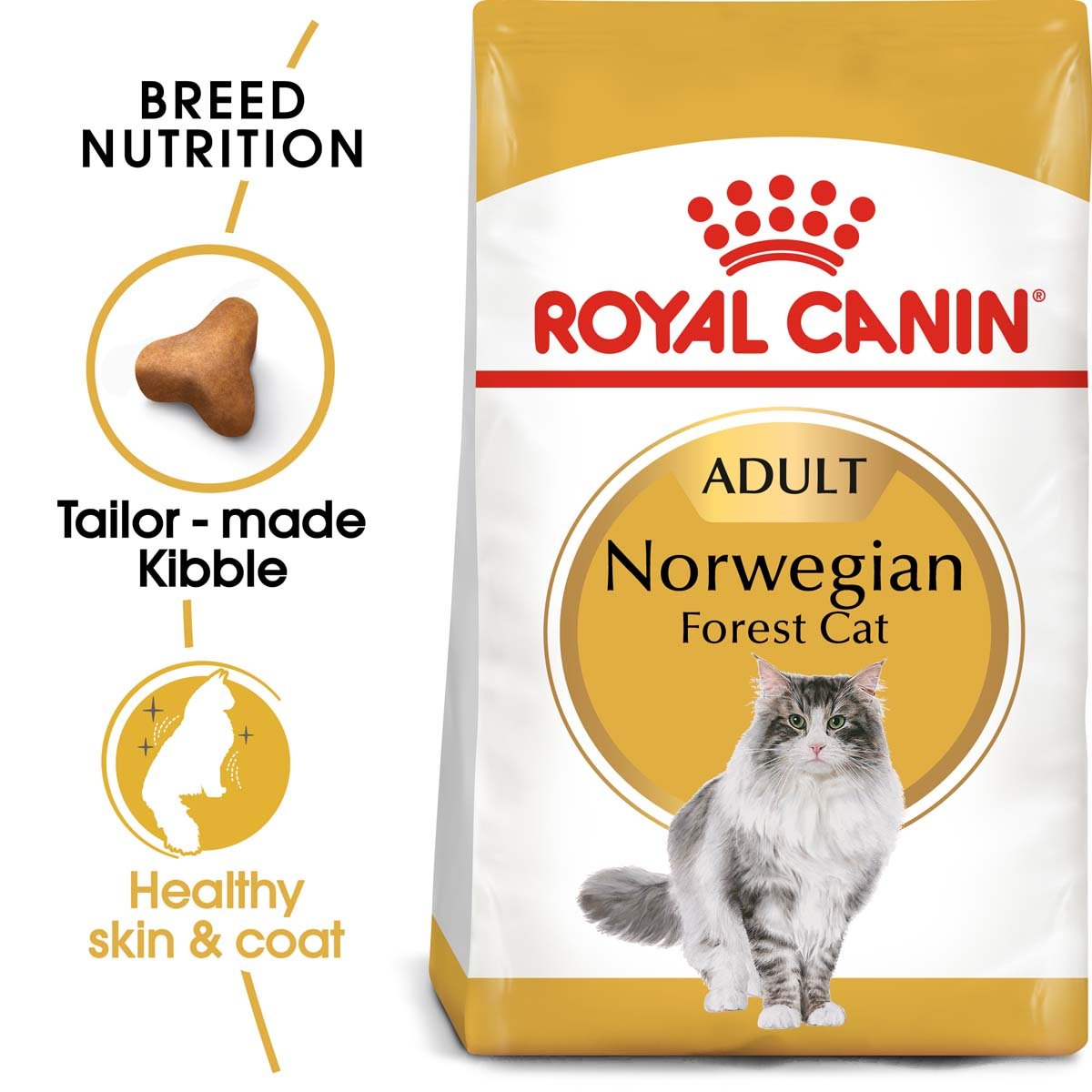 ROYAL CANIN Norwegian Forest Cat Adult Trockenfutter für Norwegische Waldkatzen 2x10kg