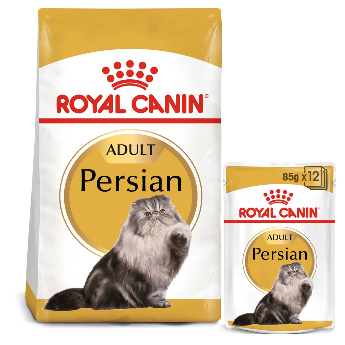 Levně ROYAL CANIN ADULT Persian granule 10 kg + kapsička 48× 85 g