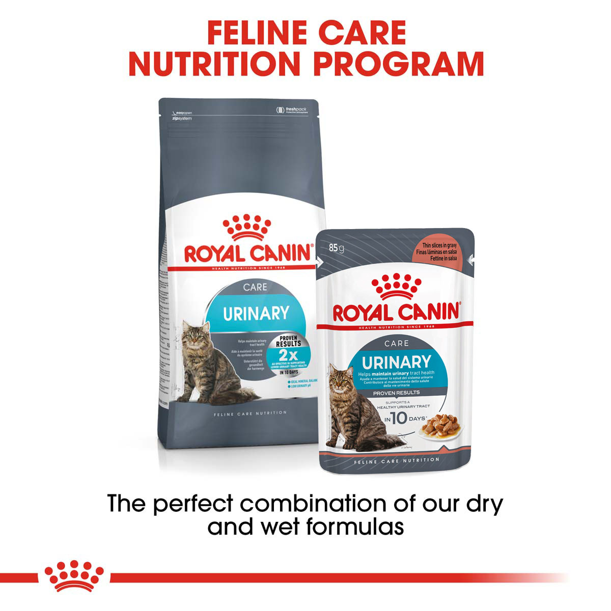 ROYAL CANIN URINARY CARE Trockenfutter 2kg Nassfutter 12x85g
