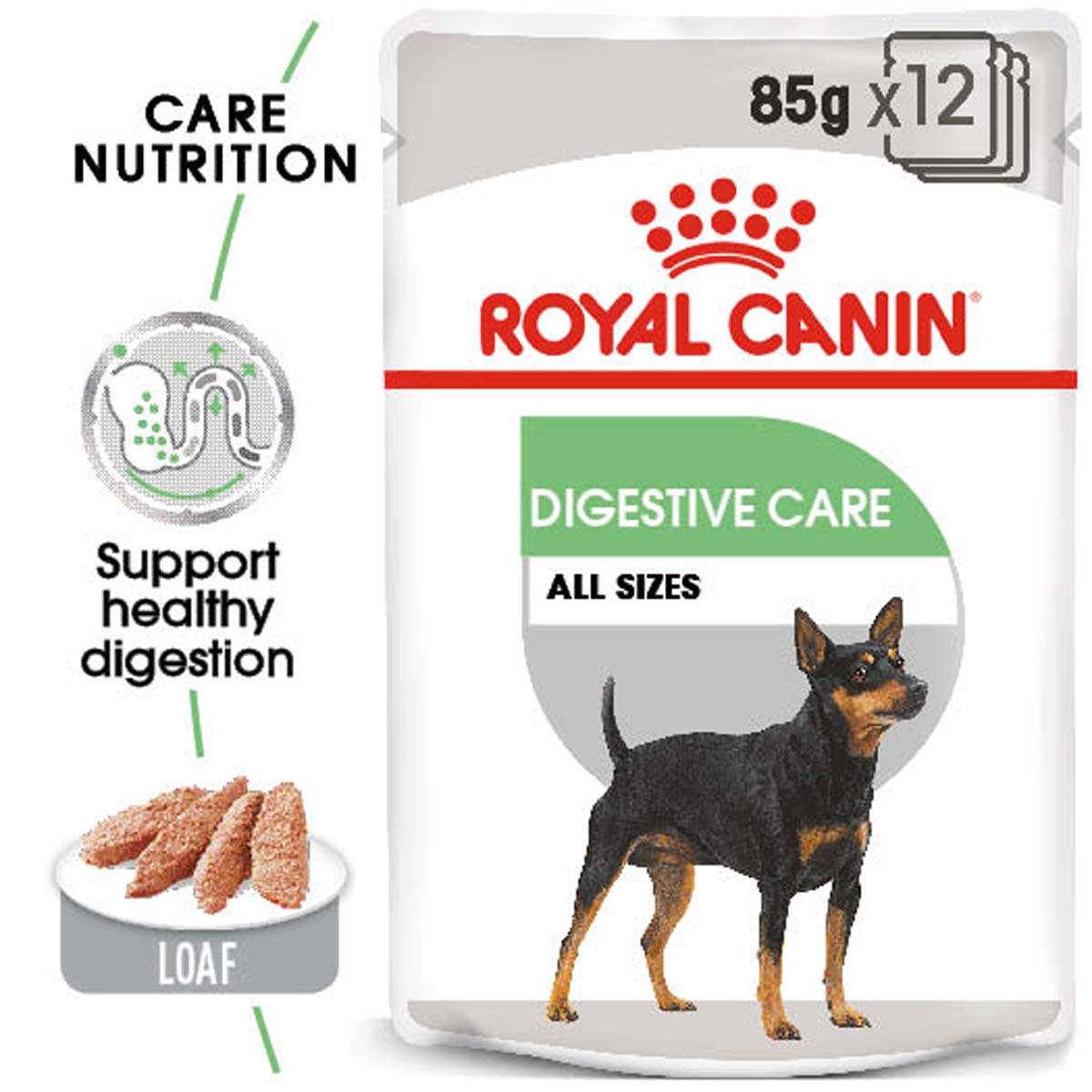 Влажный корм для собак royal canin. Корм Royal Canin Digestive Care. Роял Канин Дайджестив для собак. Royal Canin Digestive Care для собак влажный корм. Роял Канин влажный корм для собак паучи.