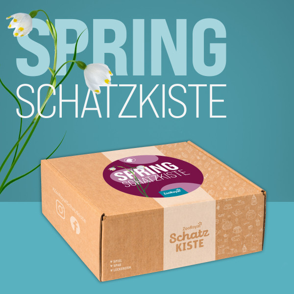 ZooRoyal Schatzkiste Katze Spring-Edition