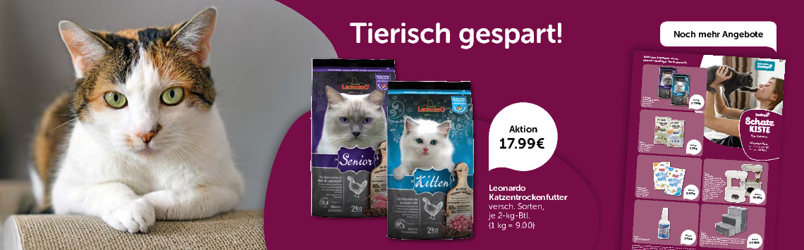 Katzen-Angebote