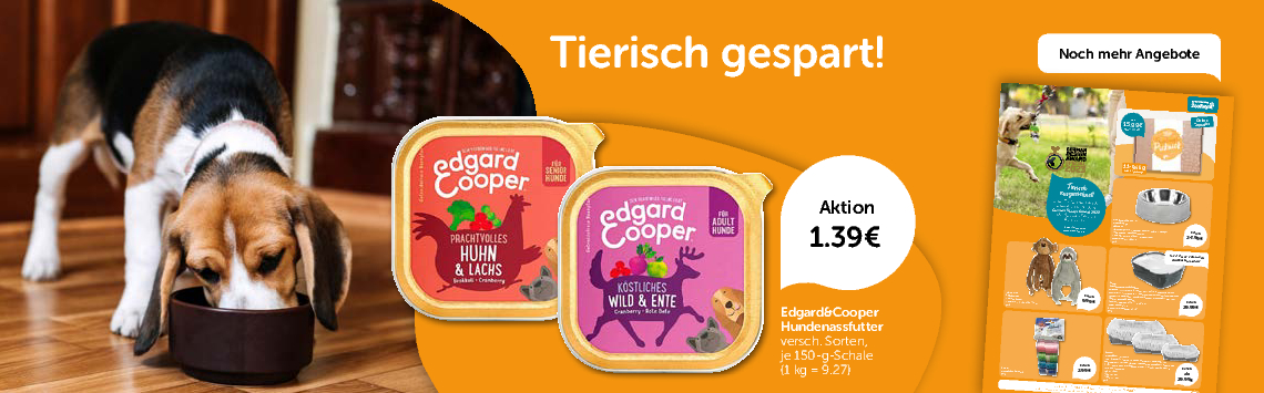 Hunde-Angebote
