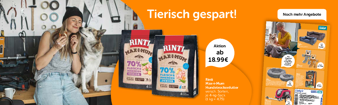 Hunde-Angebote