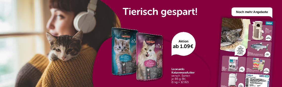 Katzen-Angebote