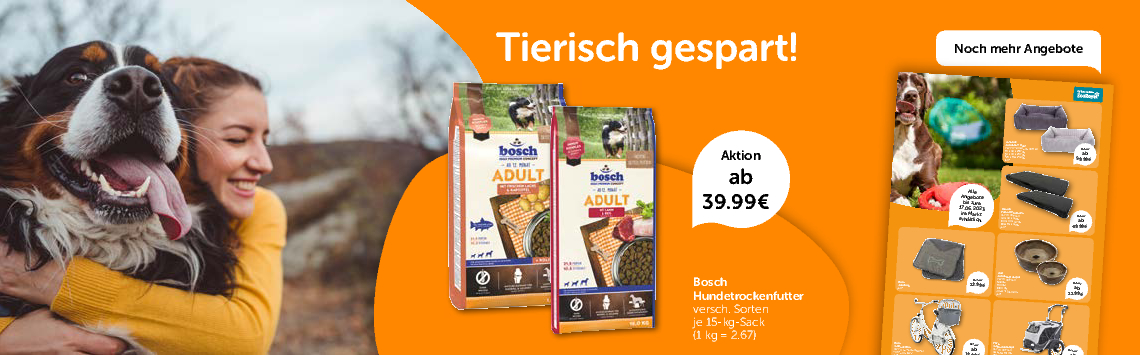 Hunde-Angebote
