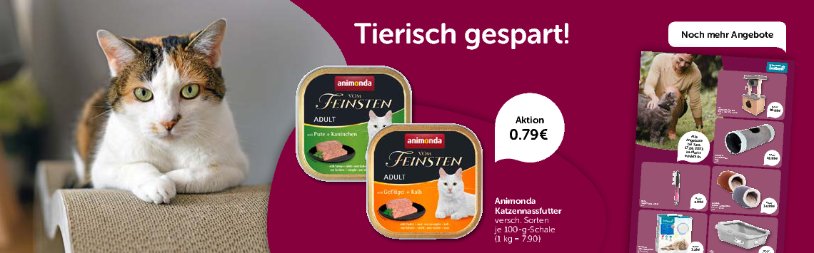 Katzen-Angebote