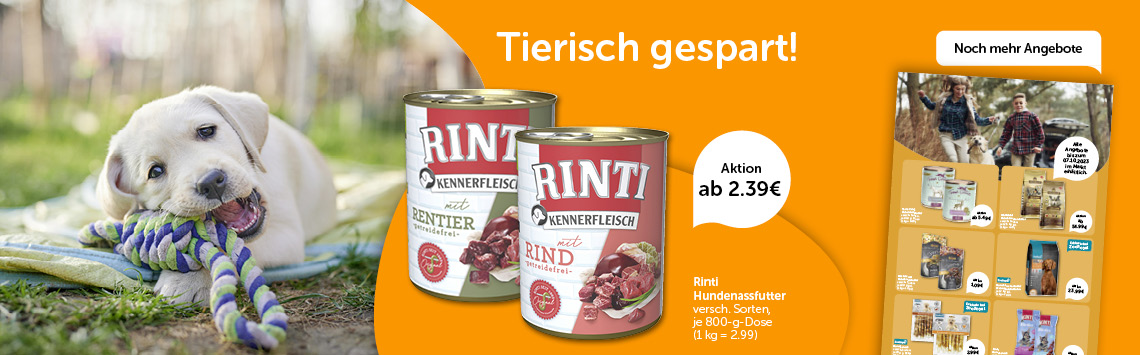 Hunde-Angebote