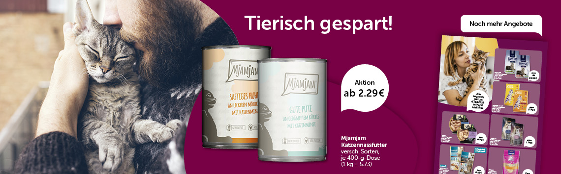 Katzen-Angebote