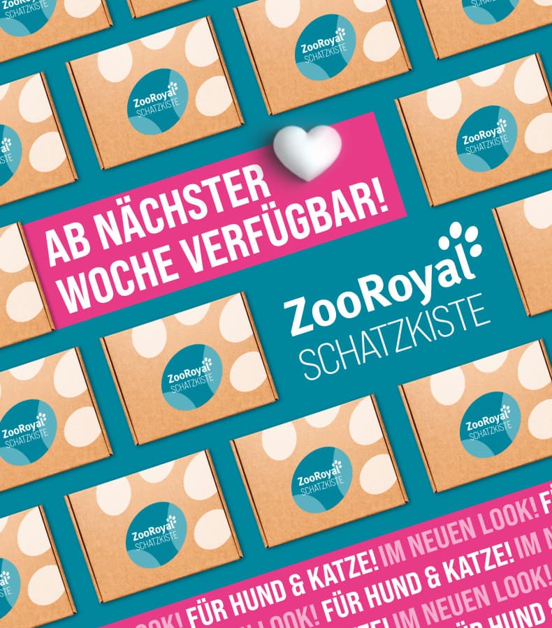 ZooRoyal Schatzkiste