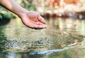 Teich-Wasserpflege
