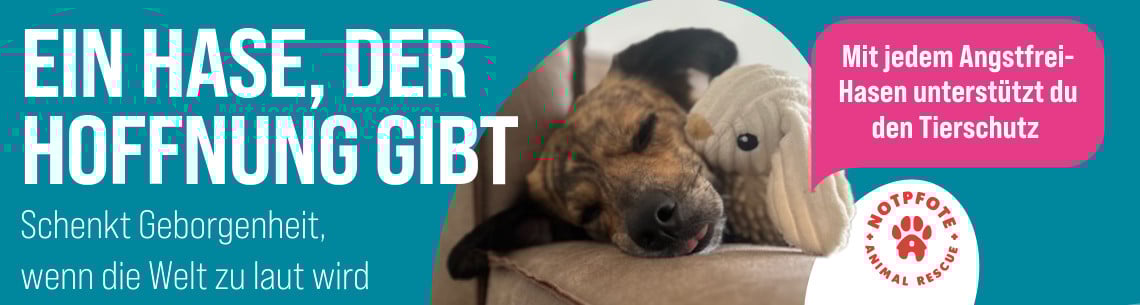 ZooRoyal Schatzkiste