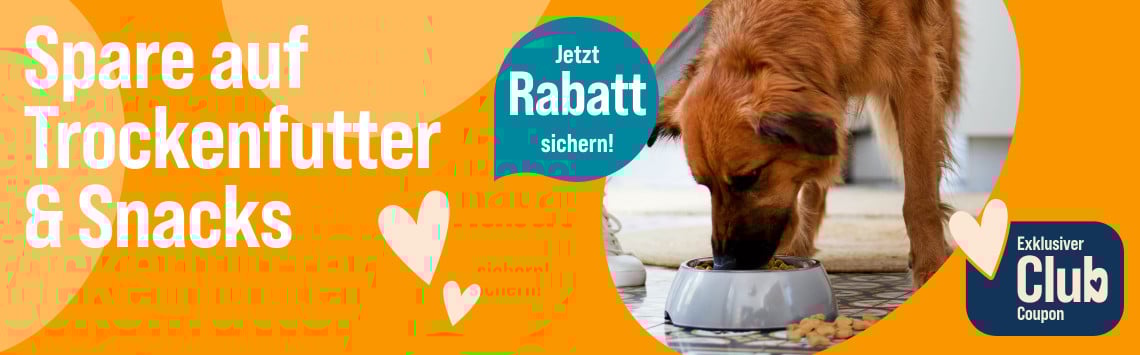 Spare auf Futter & Snacks