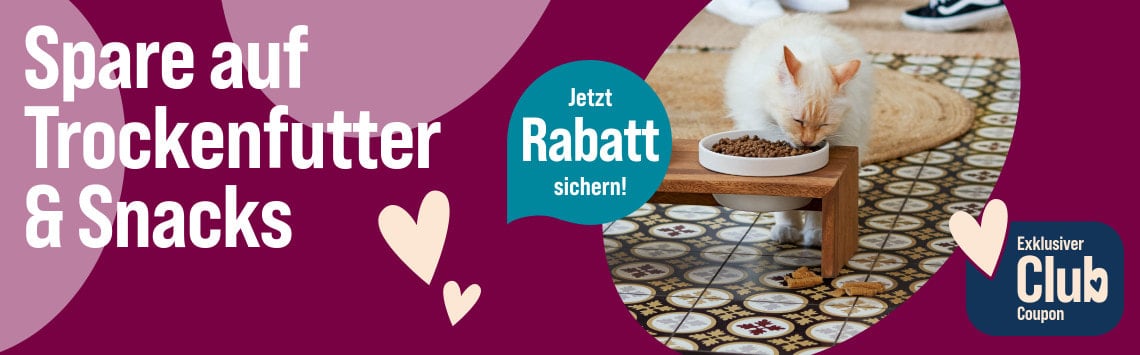 Spare auf Futter & Snacks