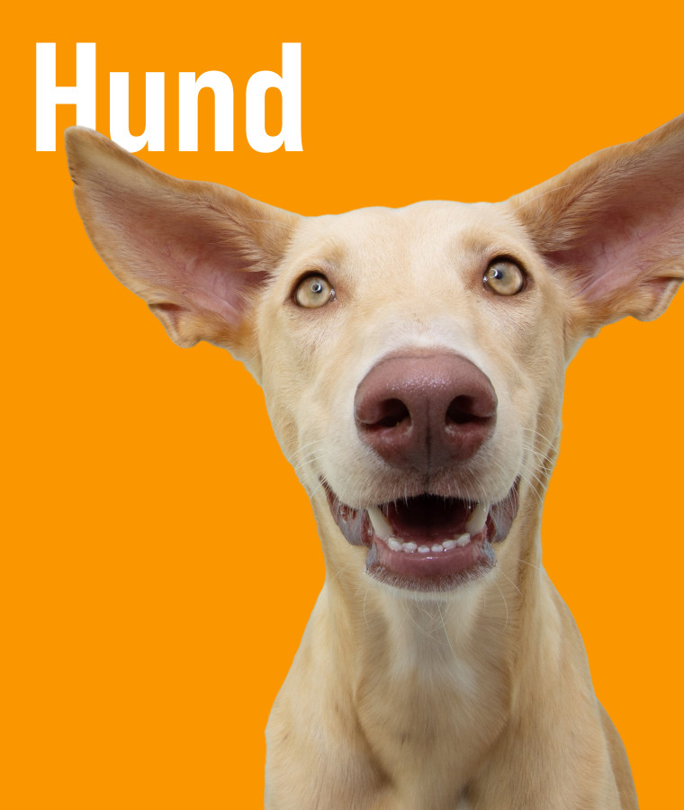 ZooRoyal Zubehör für Hunde