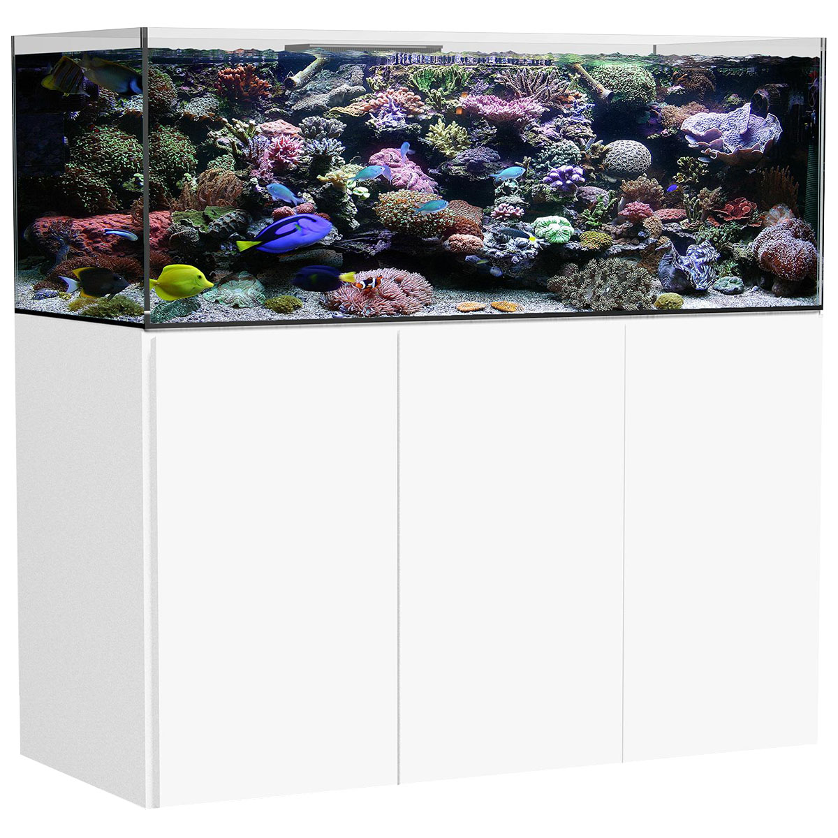 Meerwasseraquarium für Anfänger Aqua Medic Meerwasseraquarium Armatus XD weiß 575