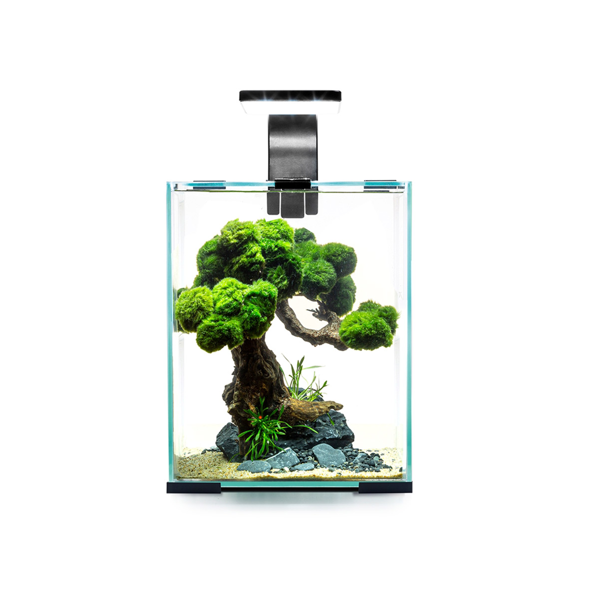 Aquael Shrimp Set Tag &amp; Nacht schwarz