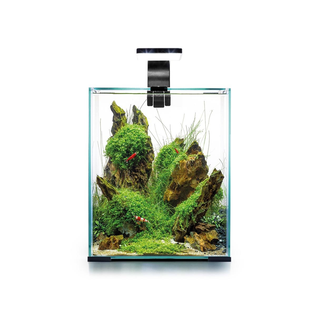 Aquael Shrimp Set Tag & Nacht schwarz 20 Liter, 25 x 25 x 30 cm