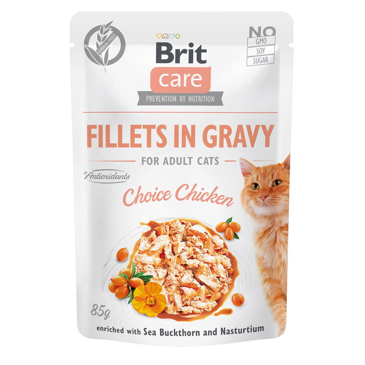 Levně Brit Care Cat filety v omáčce výběrové kuřecí 24 × 85 g