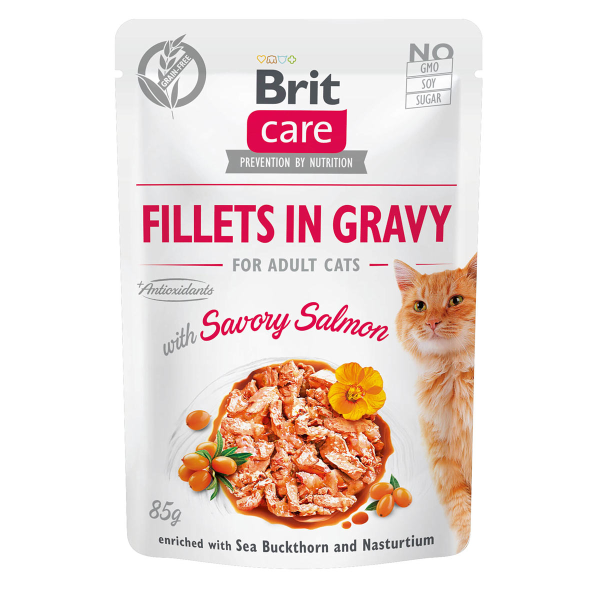 Levně Brit Care Cat filety v omáčce s lososem 24 × 85 g