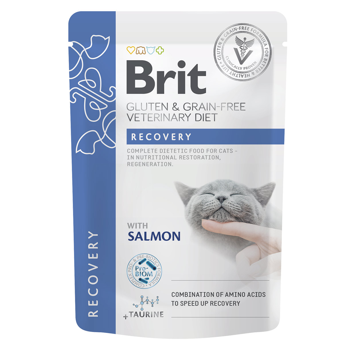 Brit Vet Diet Cat Fil in Gravy Recovery