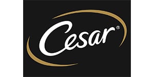 Cesar Hunde-Nassfutter