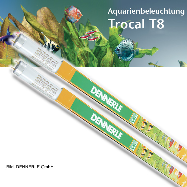 Dennerle Trocal de Luxe T8 Special Plant DUO 2 × 38 W / 1047 mm
