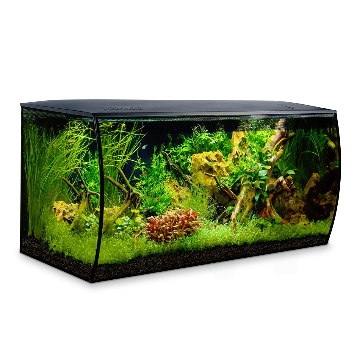 Meerwasseraquarium für Anfänger Fluval Meerwasseraquarium FLEX MARINE 123 Liter schwarz