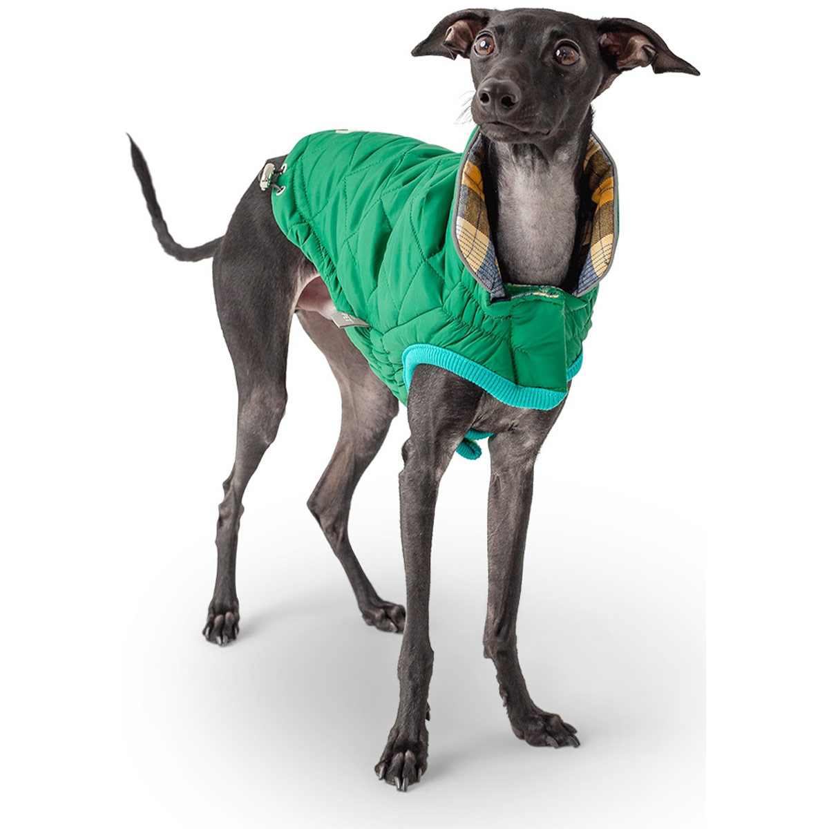 GF Pet Reversible Trail Jacke grün XL