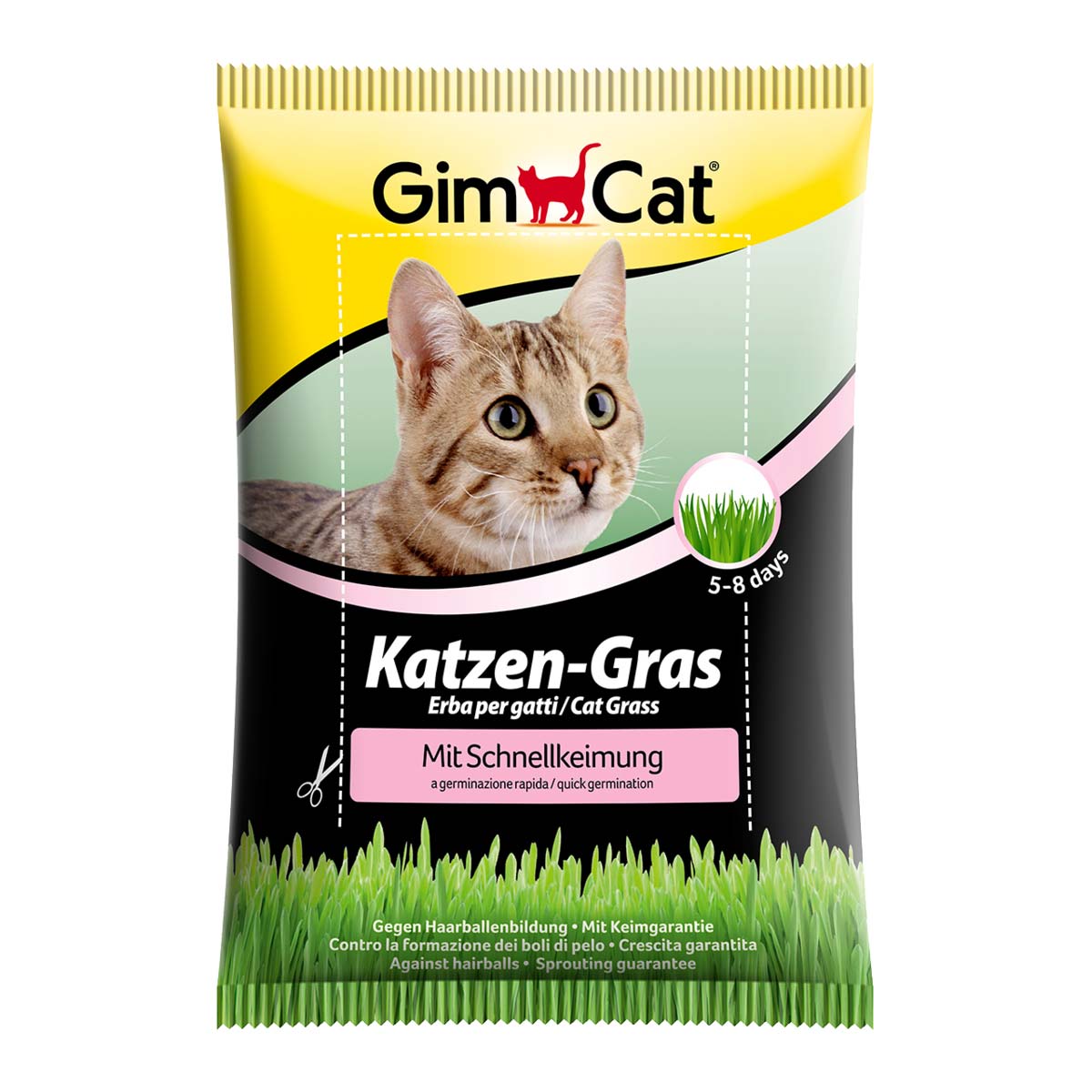 GimCat kočičí tráva s rychlým klíčením 4 × 100 g